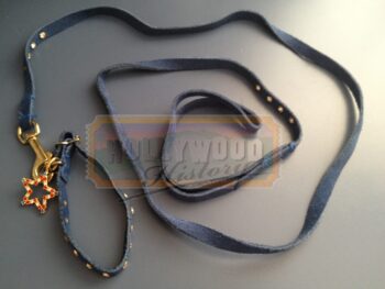 bruiser’s collar & leash