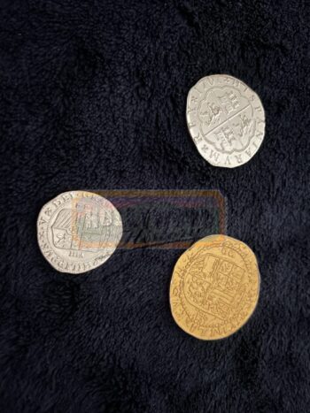 treasure coins (set #1)