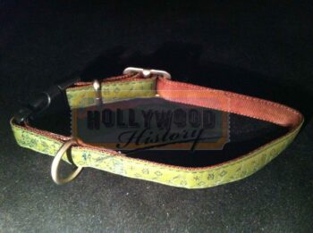 skeletor’s screen used dog collar