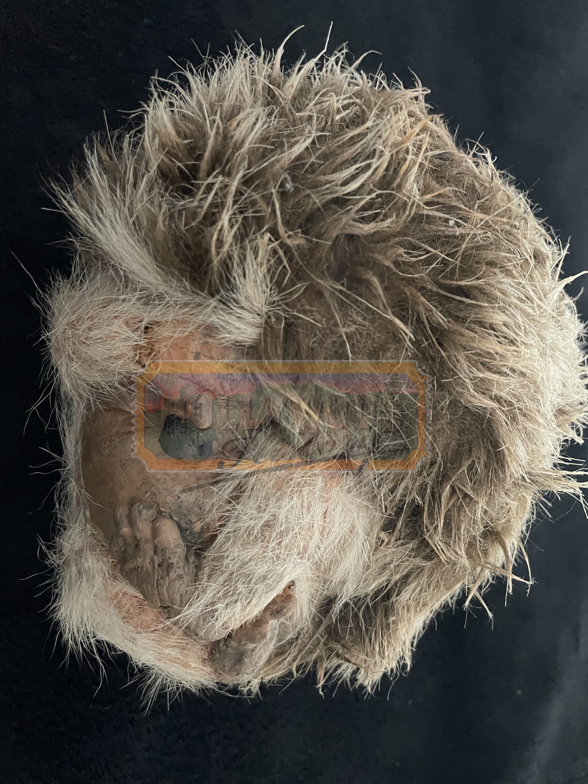 Alice in Wonderland (1999) <br><br>Jim Henson Curled Croquet Hedgehog