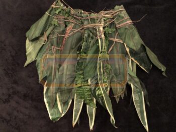 alan parrish (robin williams) leaf shaw