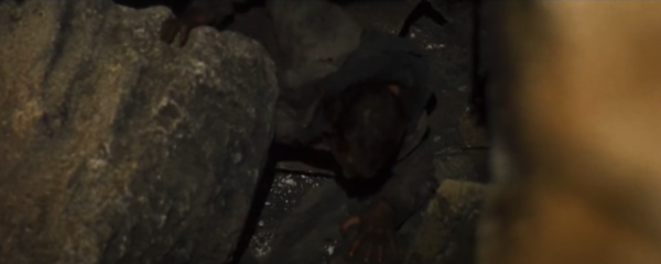 Screenshot 2024-08-19 225817