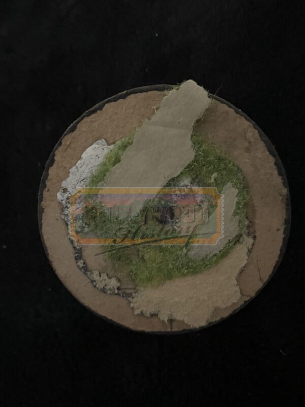 Strike Dart Board 1_01