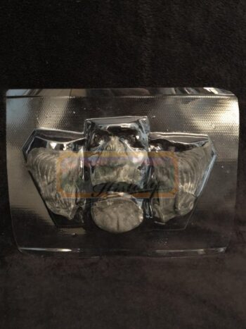 black creeper’s facial appliances