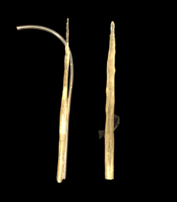 "a.c." Raisin Puppet