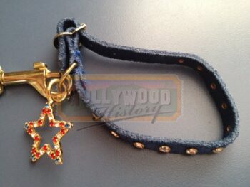 bruiser’s collar & leash