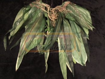 alan parrish (robin williams) leaf shaw