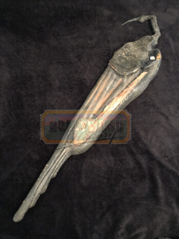 creeper’s folded wing