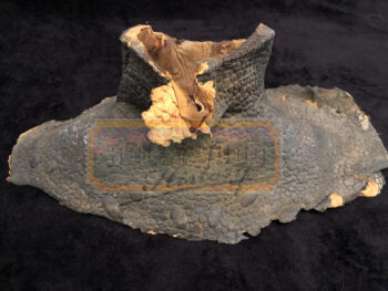 creeper neck appliance