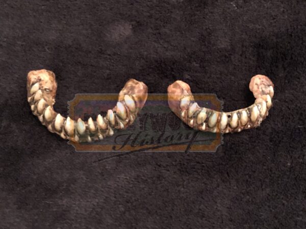 Jeepers Creepers 1 Creeper Teeth container_01