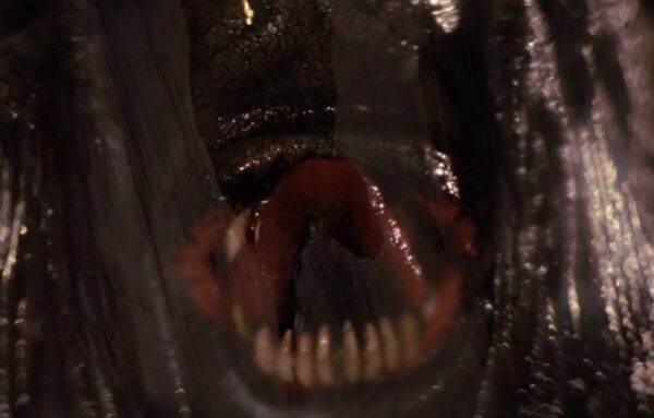 Jeepers Creepers Creeper Tongue Top_03