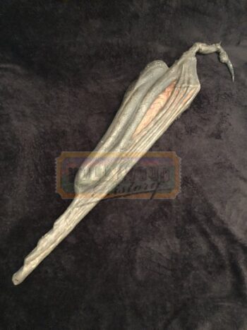 creeper’s folded wing