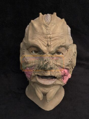 creeper test skin/head