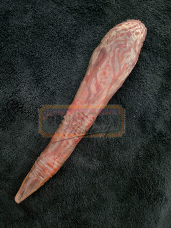 hero red slug creature 2