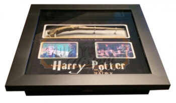 harry potter’s “snatcher” wand
