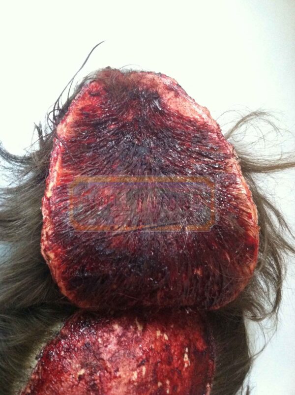 ingloriousbastardsscalpedheadpiece1_02