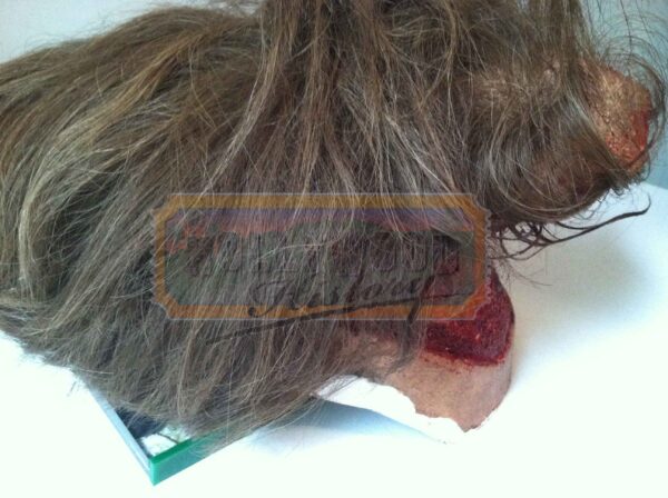 ingloriousbastardsscalpedheadpiece1_04