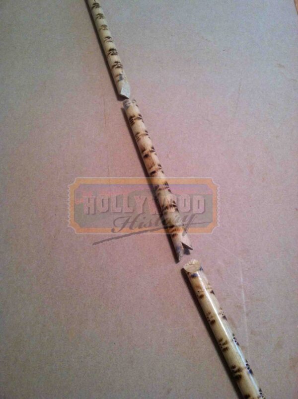 lara croft broken fighting stick