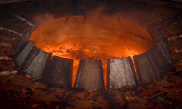 Large Pile of Bugs topwm_02