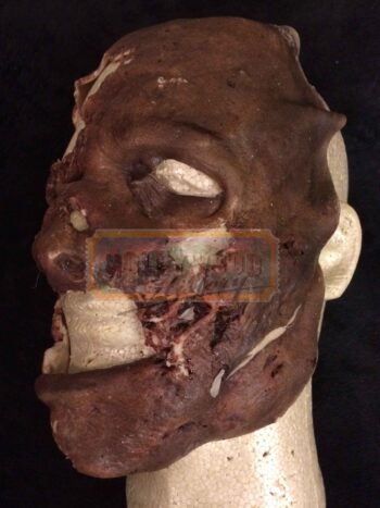 leatherface rotten face mask