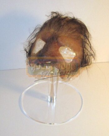 jonas’ (elias koteas) werewolf prosthetic