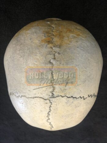 hessian horseman skull