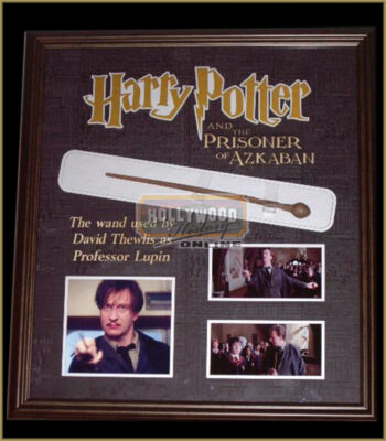 Professor Remus Lupin's Wand