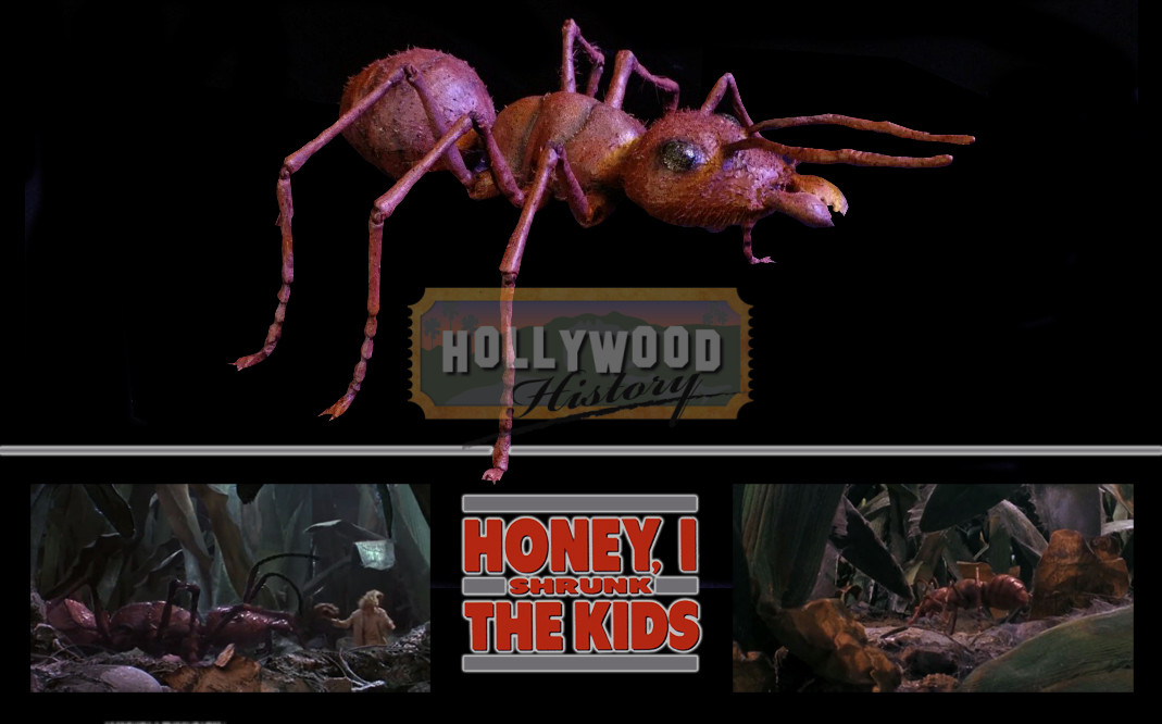 New_Ant_Puppet_Display