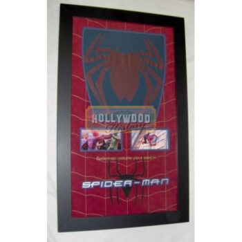 spider-man's (back) costume piece