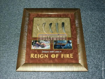 bull dragon's teeth display