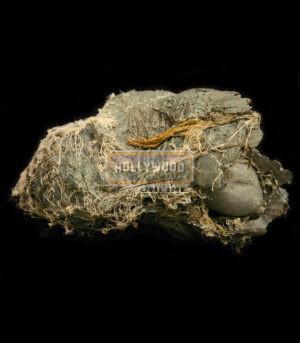 Ender's Game<br><br>Dead Formic Egg