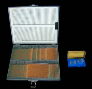 Star Trek: Enterprise<br><br>Dr. Phlox's Starfleet Microscope S