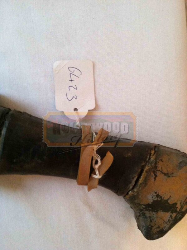 The Mummy Guard’s Sword