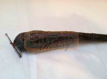 Pinhead Stop Motion Worm