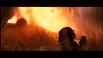 Severed Wing Prosthetic