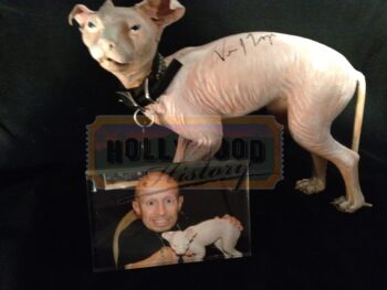 Stunt Mini Mr. Bigglesworth