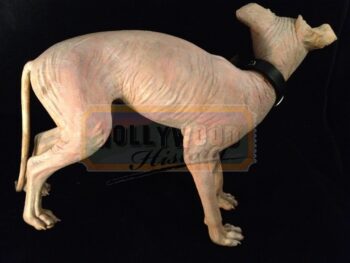 Stunt Mini Mr. Bigglesworth