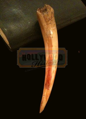 Tom Riddle Diary And Basilisk Tooth