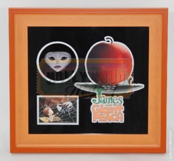 Miss Spider’s Stop Motion Face Display