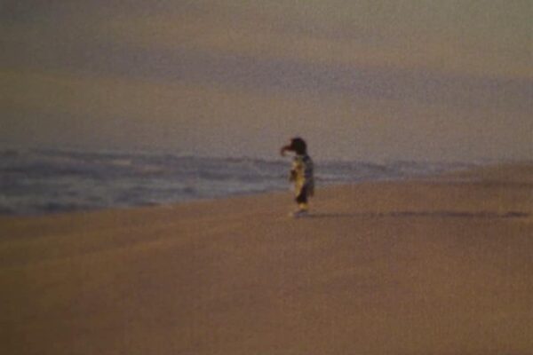 Gonzo’s Framed Picture