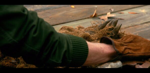 Puppeteered Creeper Hand