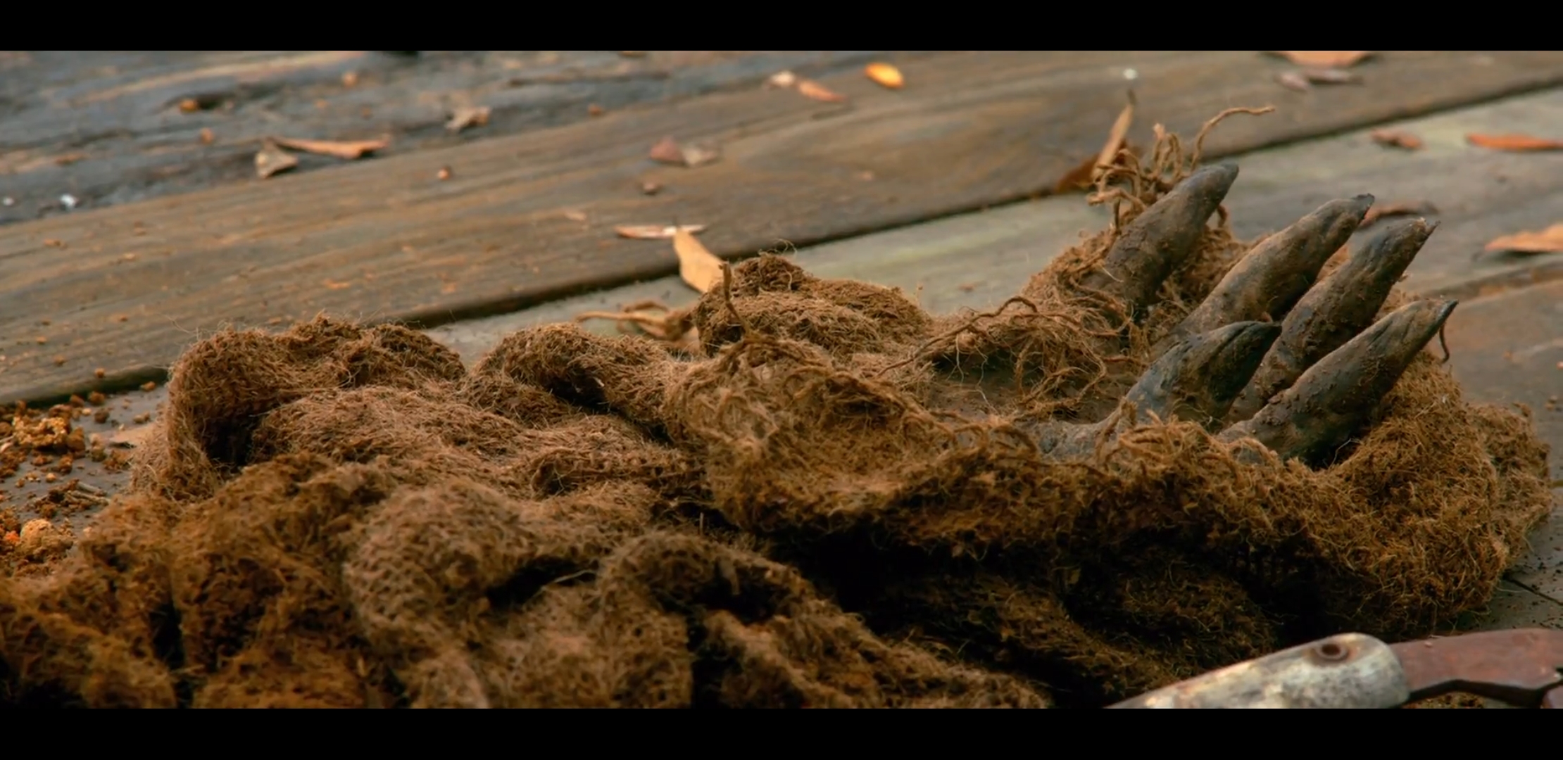 Puppeteered Creeper Hand