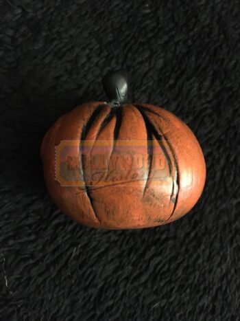 Pumpkin Head With Long Skinny Stem