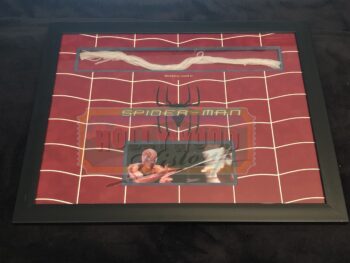Spider-Man Framed Webbing