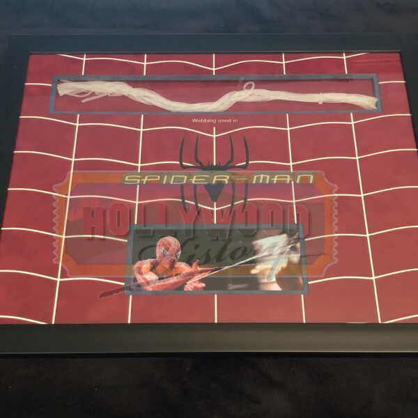 Spider-Man Framed Webbing
