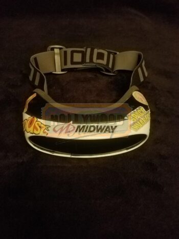 Wade Watts (Tye Sheridan) Vr Goggles