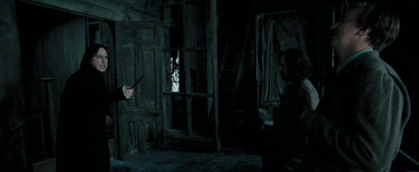 Severus Snape's (Alan Rickman) Wand