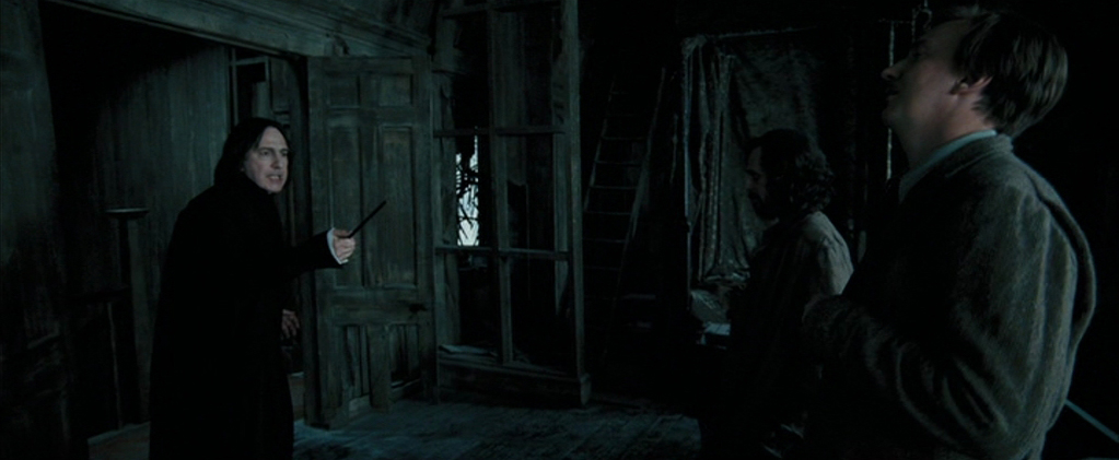 Severus Snape's (Alan Rickman) Wand