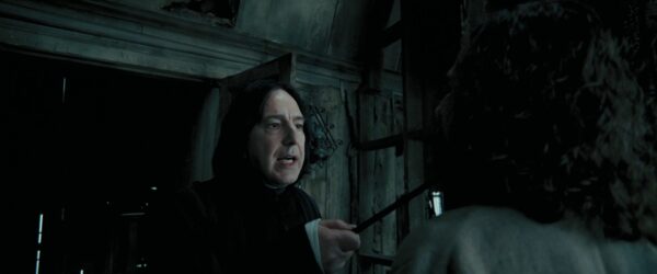 Severus Snape's (Alan Rickman) Wand