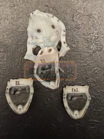 Other Mother's 3rd Form Face 2